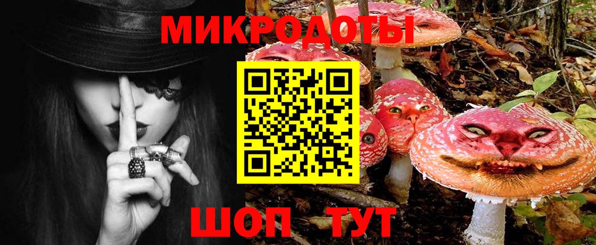 Галлюциногенные грибы Cubensis Обь